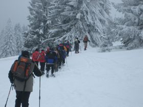 Schneeschuh 2010 031.JPG